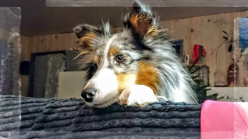 Publication : Des Terre De Vassiviere Auteur : Véronique Galilé