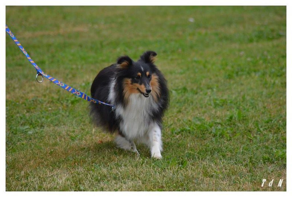 Publication : Des Terre De Vassiviere