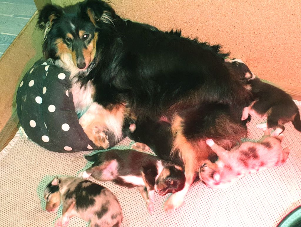 Publication : Des Terre De Vassiviere