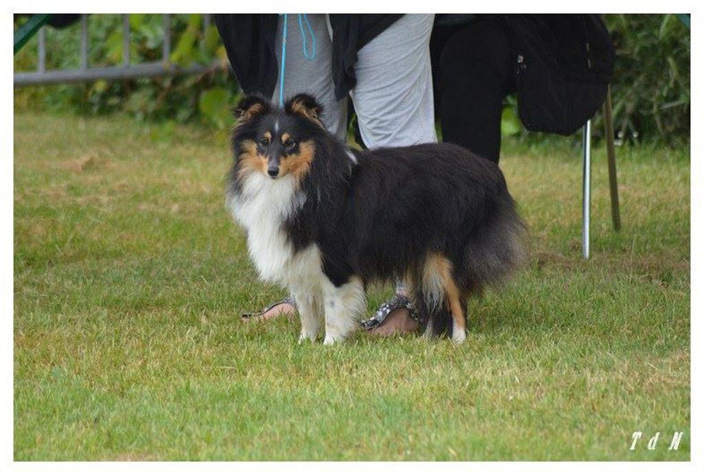 Publication : Des Terre De Vassiviere