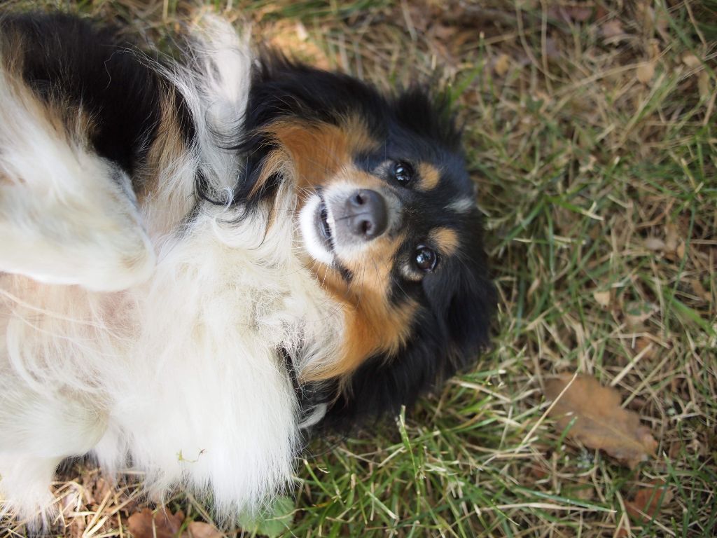 Publication : Des Terre De Vassiviere