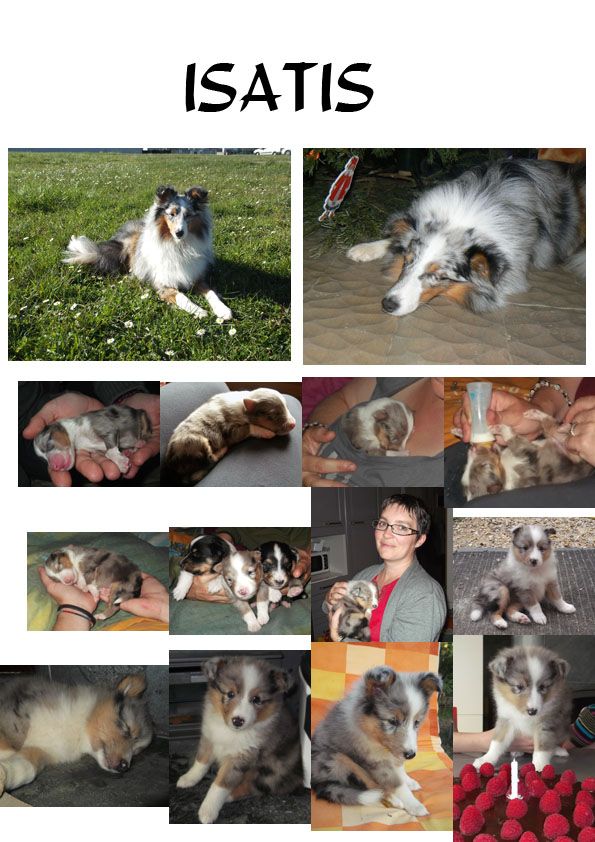 Publication : Des Terre De Vassiviere Auteur : Véronique Galilé