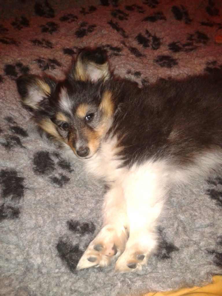 Publication : Des Terre De Vassiviere