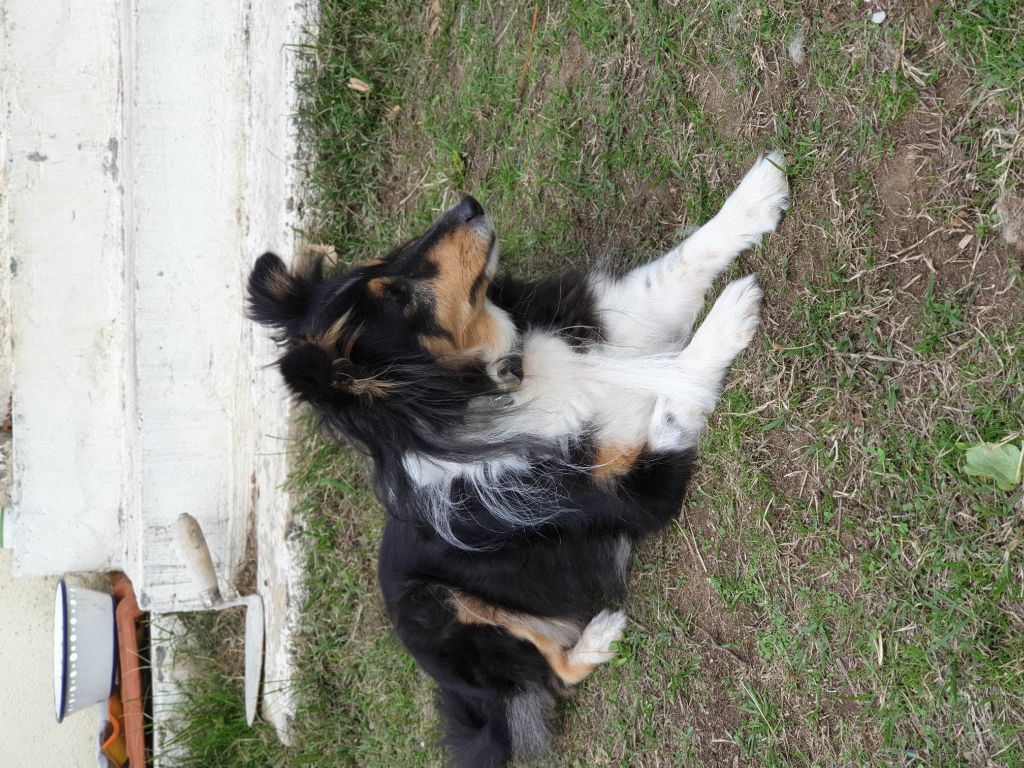 Publication : Des Terre De Vassiviere