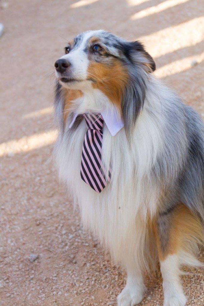 Publication : Des Terre De Vassiviere Auteur : Véronique Galilé