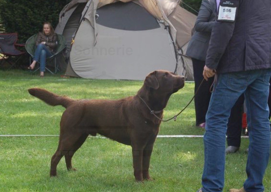 Publication : (Sans Affixe) Auteur : Valérie DELPRAT