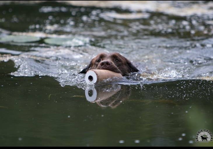 Publication : (Sans Affixe) Auteur : Valérie DELPRAT