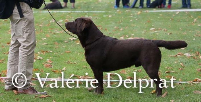 Publication : (Sans Affixe) Auteur : Valérie DELPRAT