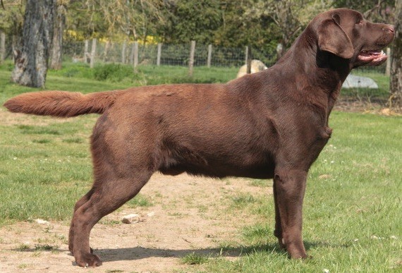 Publication : (Sans Affixe) Auteur : Valérie DELPRAT