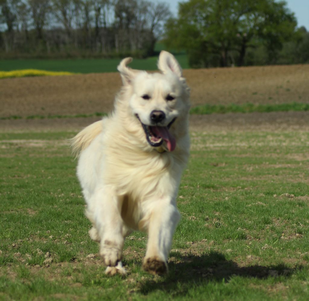 Publication : de la belle lady Auteur : DE LA BELLE LADY