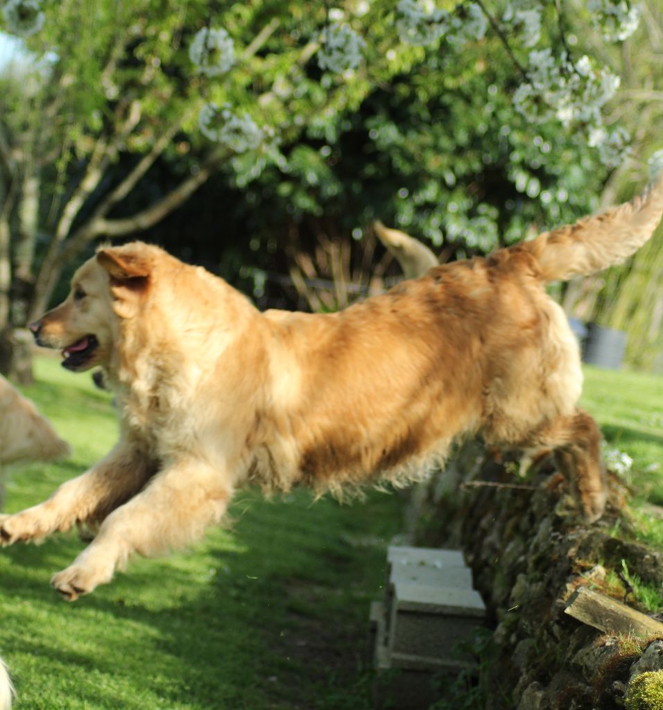 Publication : de la belle lady Auteur : LA BELLE LADY