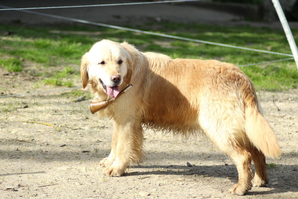 Publication : de la belle lady