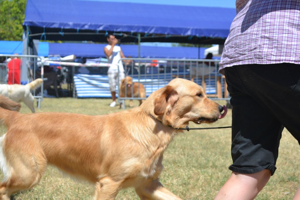 Sanka de La Plaine Bourbonnaise - 3ème Excellent