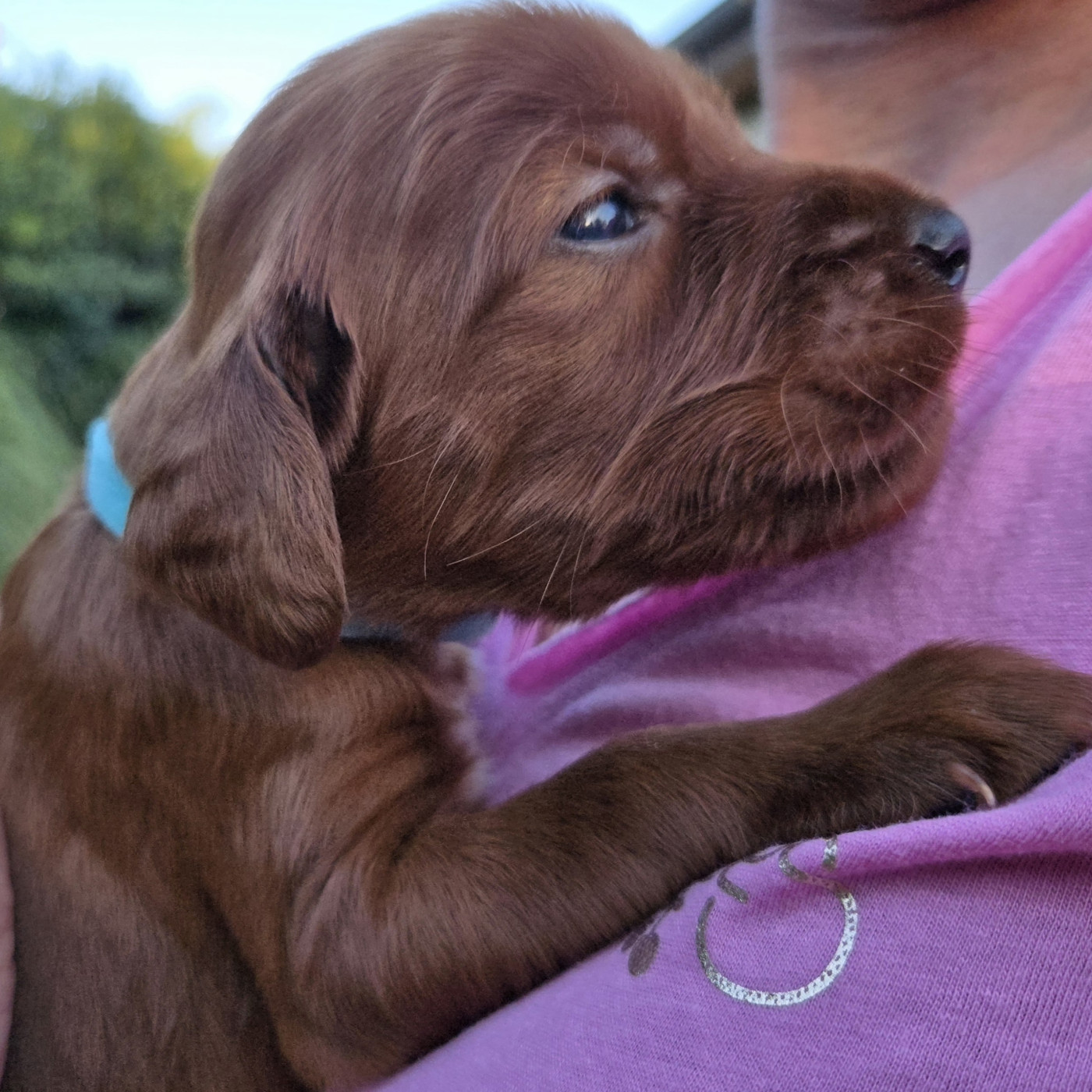 Collier bleu ciel ARAMIS