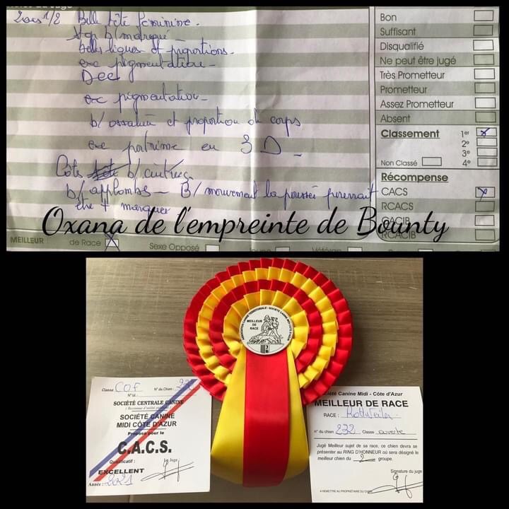 Oxana De L’empreinte De Bounty - CACS meilleur de race
