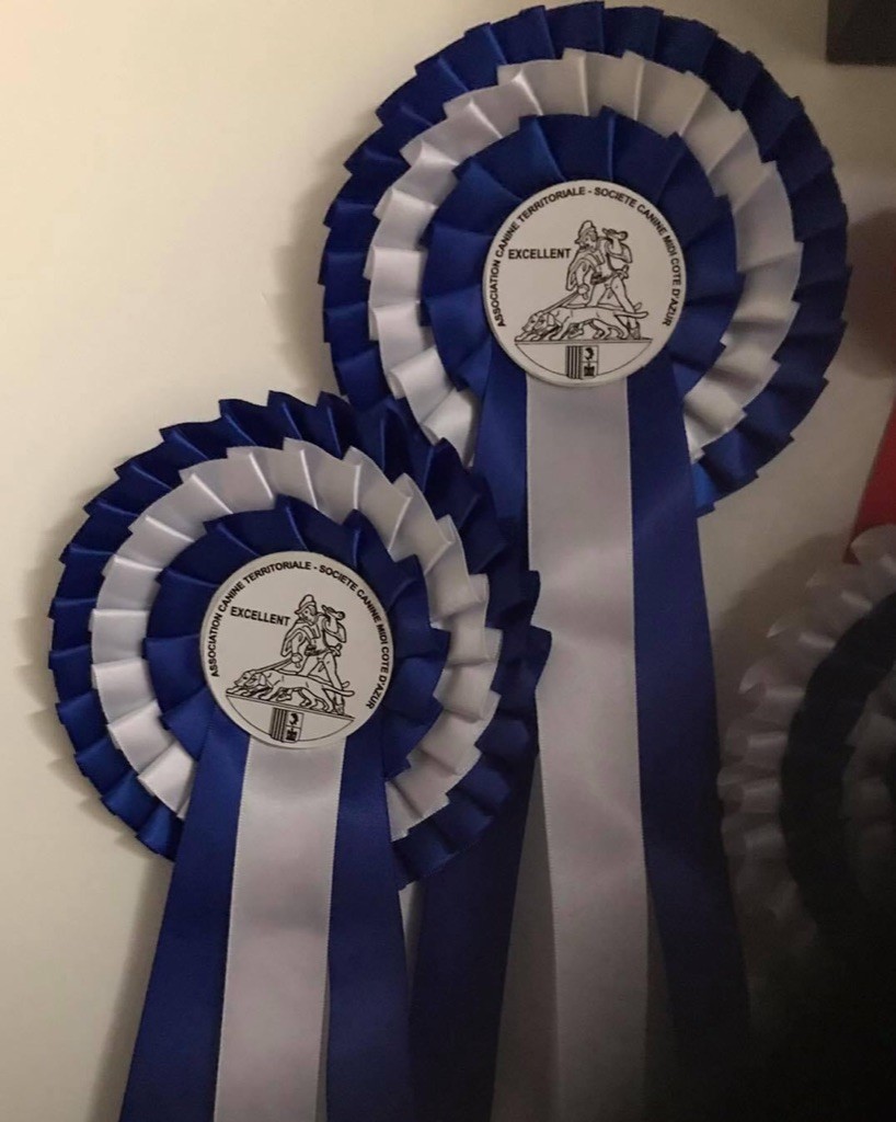 Oxana De L’empreinte De Bounty - V3