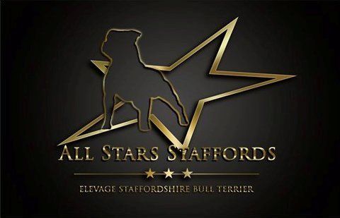 storm blackstaff Nayah - 2nd EXCELLENT RCACS