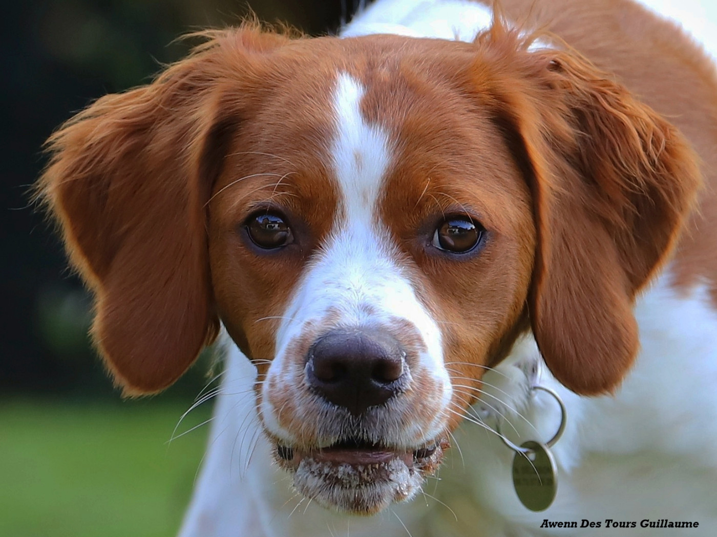 Awenn Des Tours Guillaume