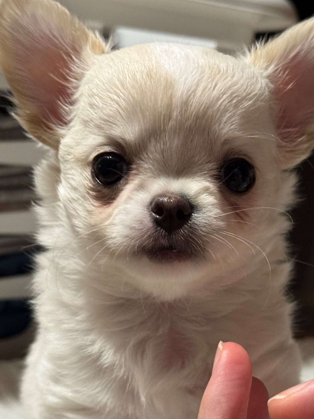 Aime Moi comme je t?aime