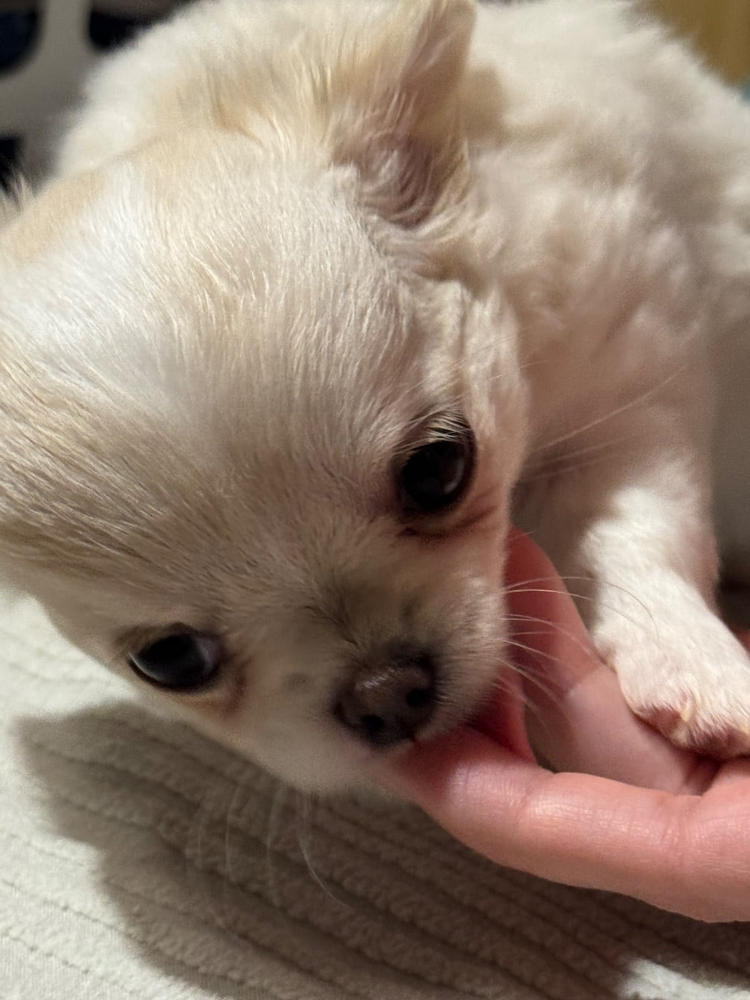 Aime Moi comme je t?aime