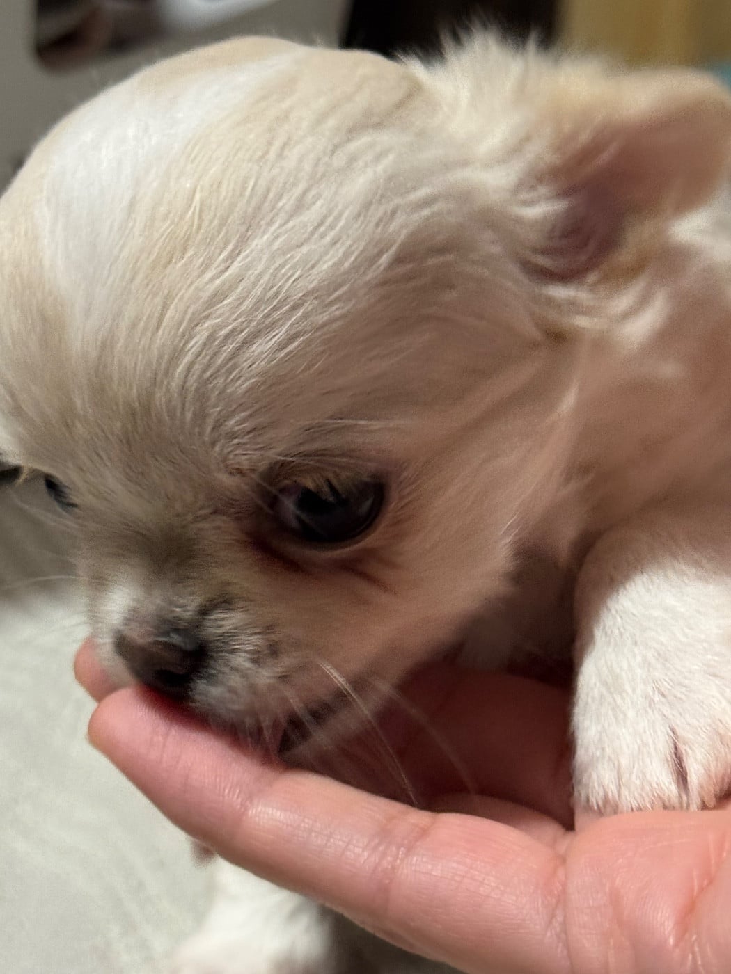 Aime Moi comme je t?aime