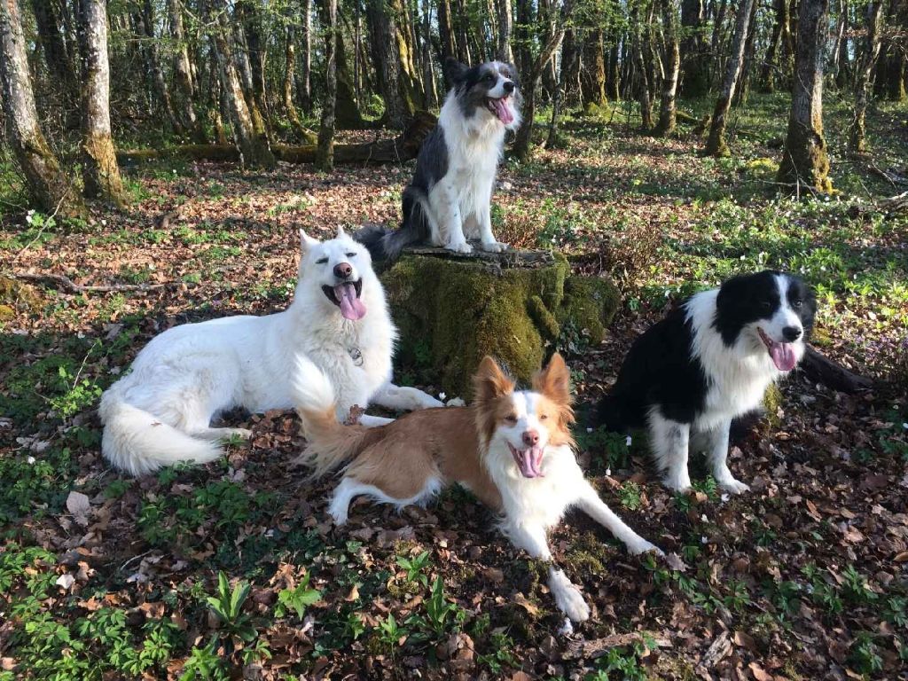 Publication : (Sans Affixe) Auteur : Estelle