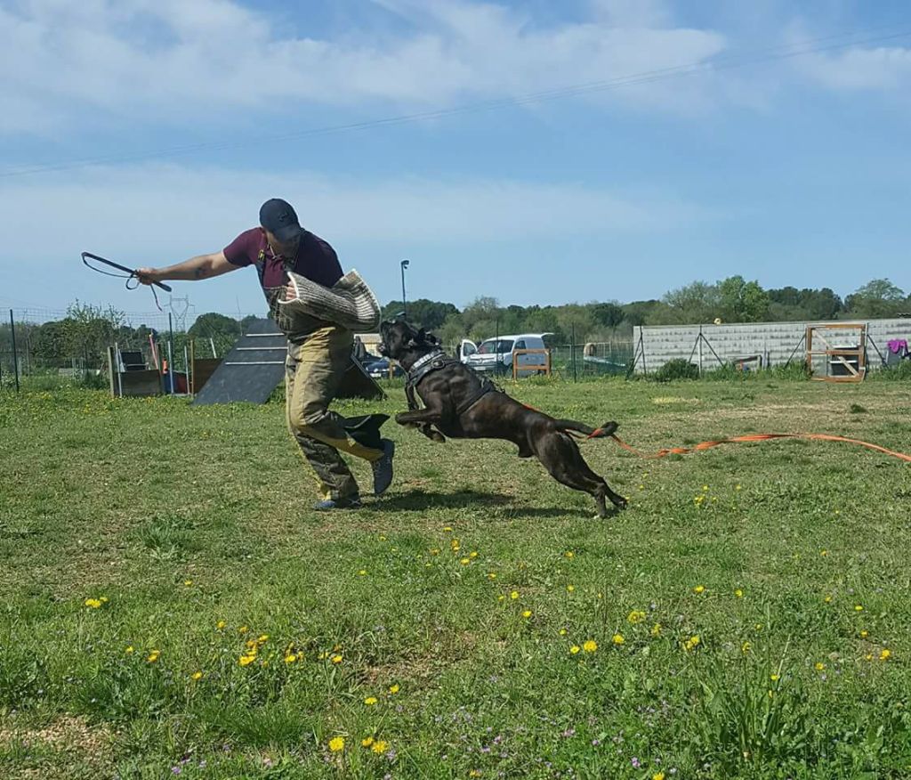 Publication : (Sans Affixe)