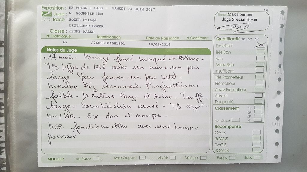 Publication : (Sans Affixe)