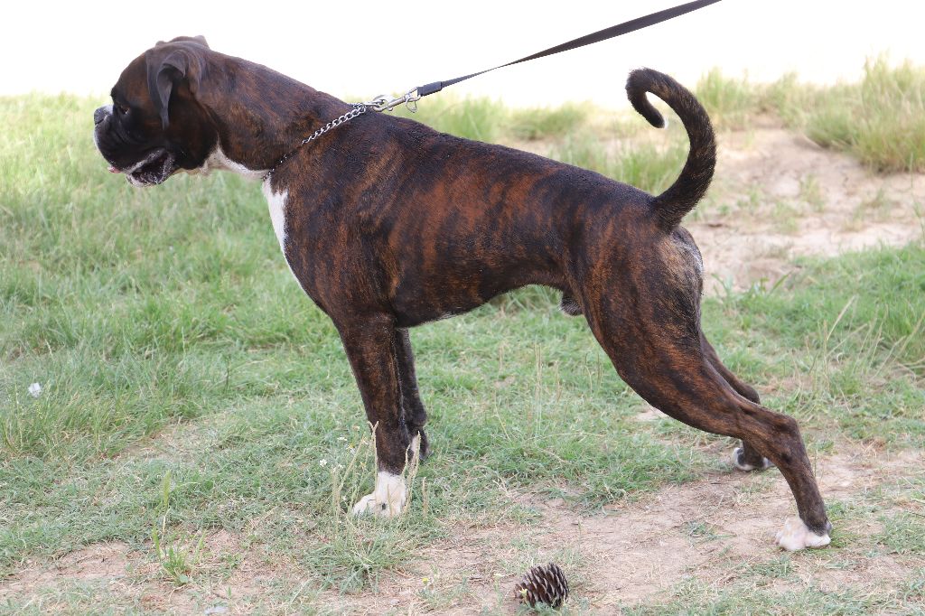 Publication : (Sans Affixe)