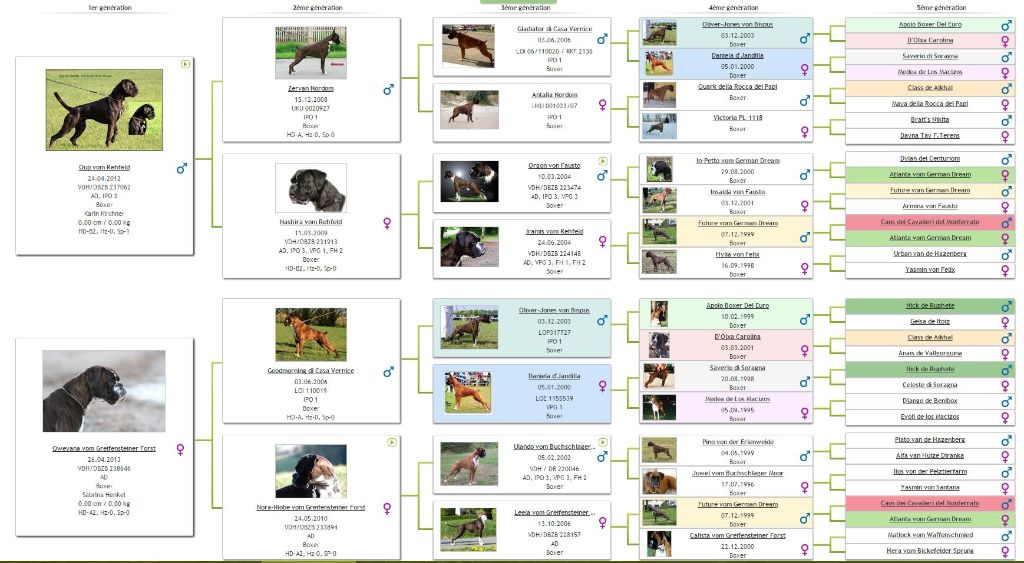 Publication : (Sans Affixe)