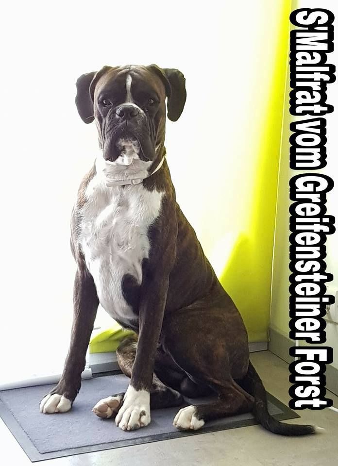 Publication : (Sans Affixe)