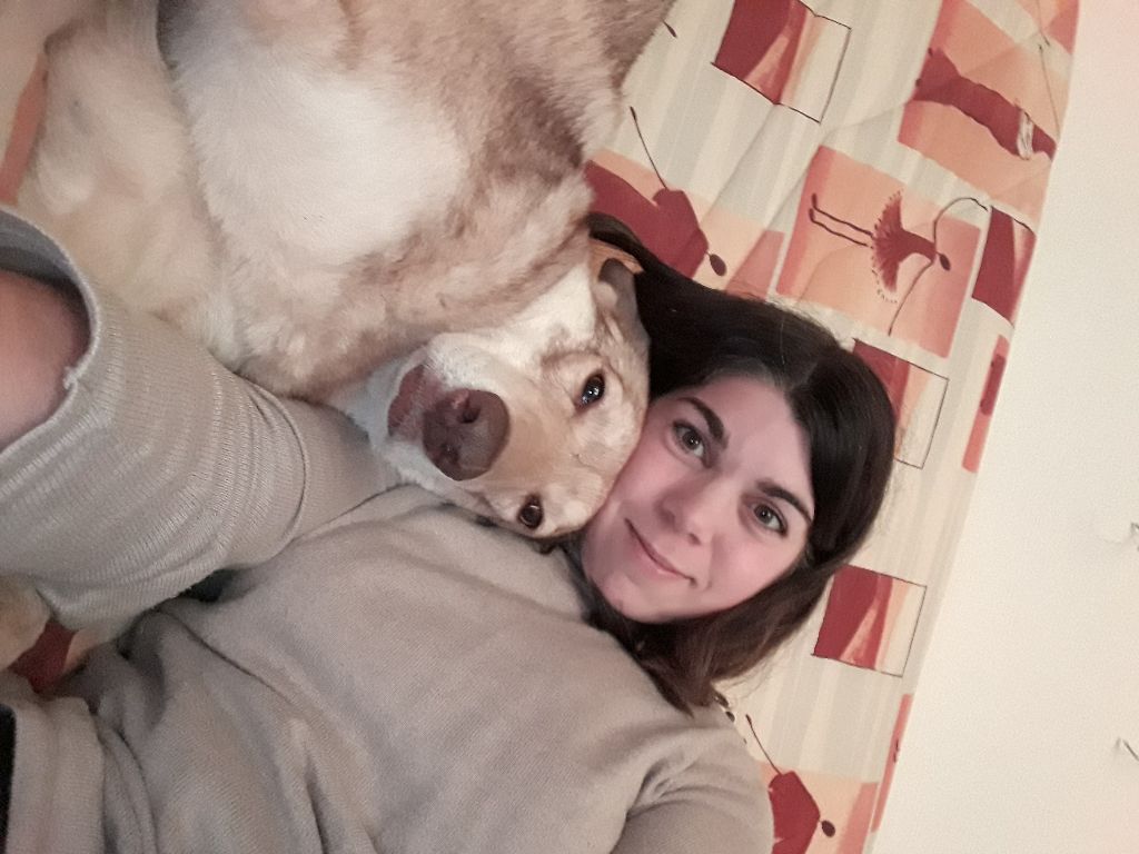 Accueil Elevage Grant Everest Eleveur De Chiens Chien
