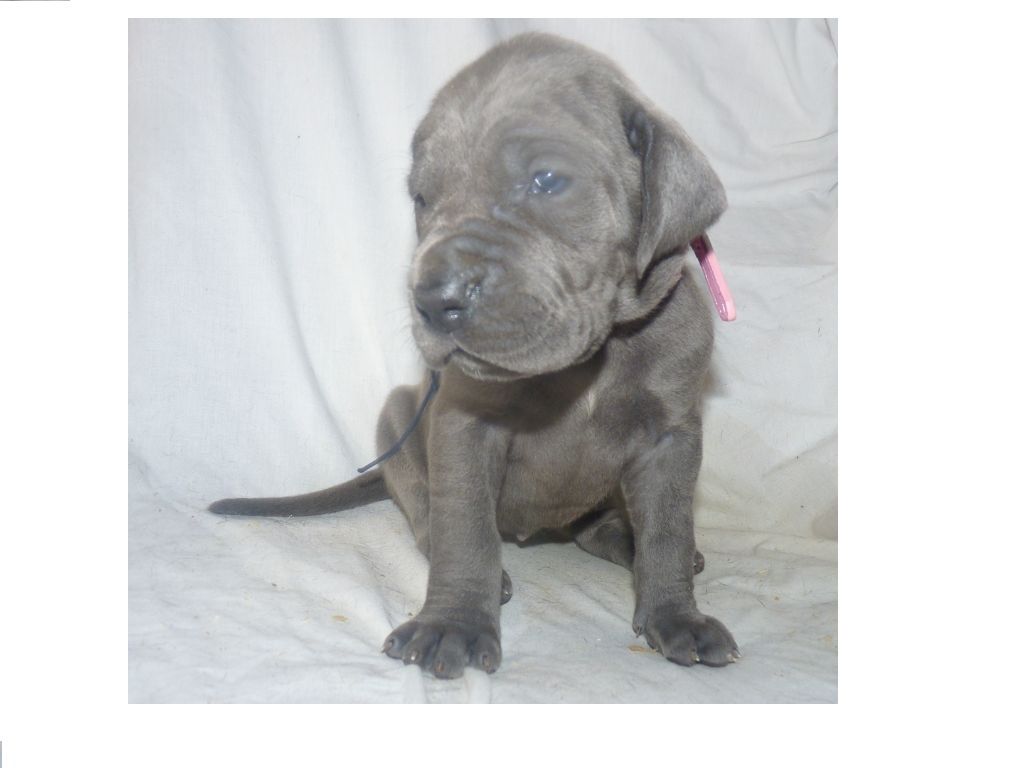 Publication : Du parc des vaux