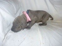 Publication : Du parc des vaux