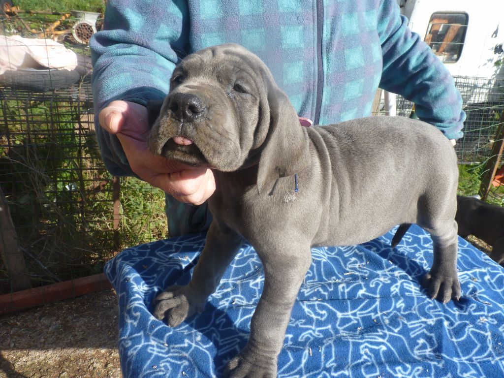 Publication : Du parc des vaux