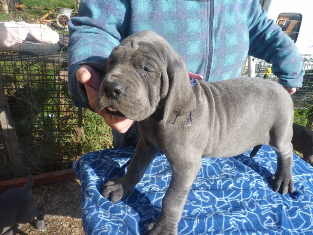 Publication : Du parc des vaux