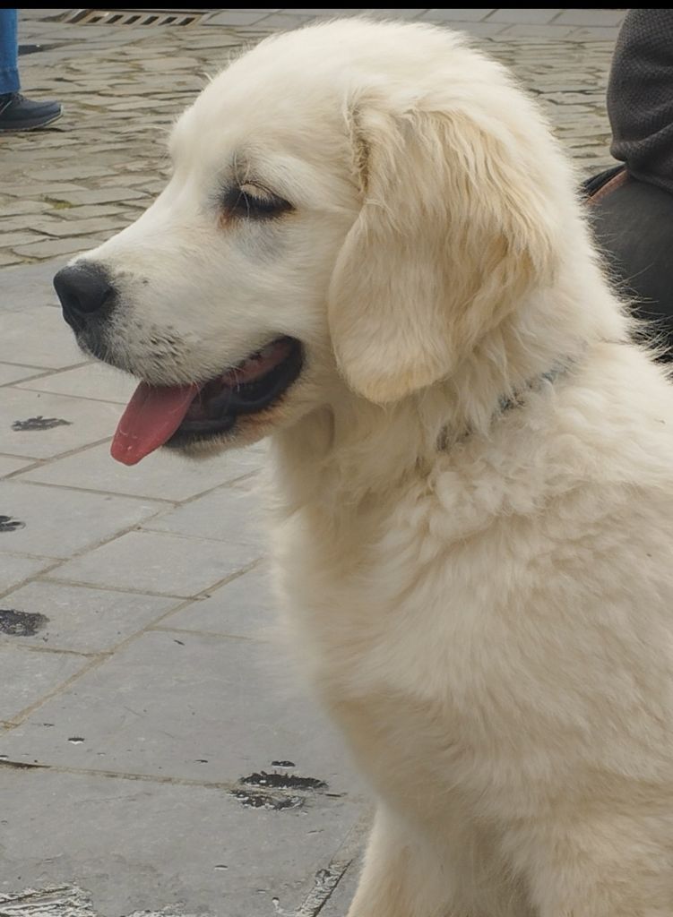 Va là ou brille la lumière de bihan ki breizh