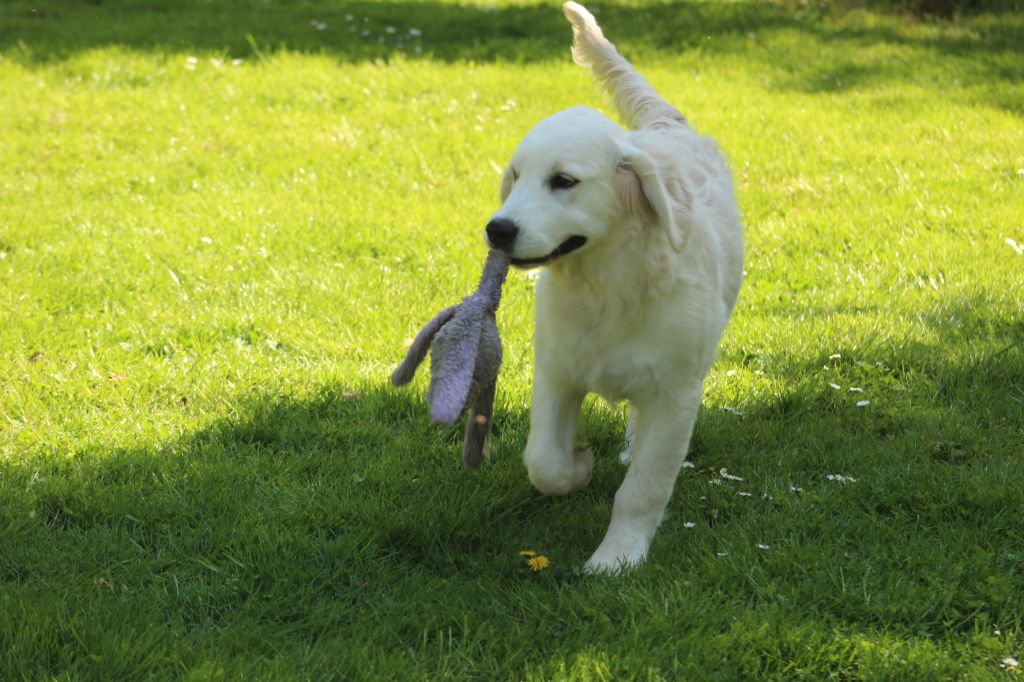 Va là ou brille la lumière de bihan ki breizh