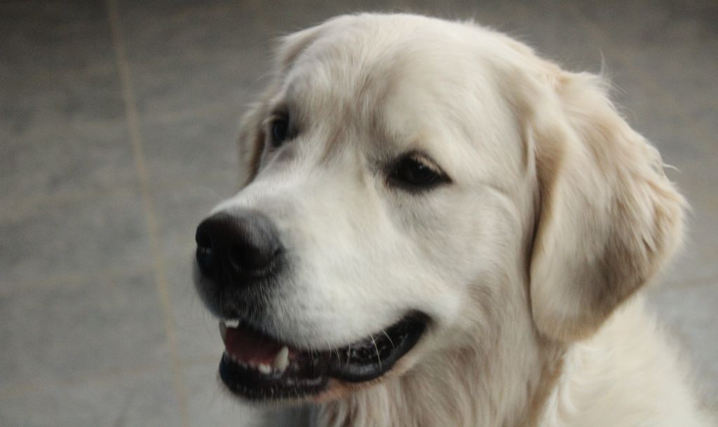 Va là ou brille la lumière de bihan ki breizh