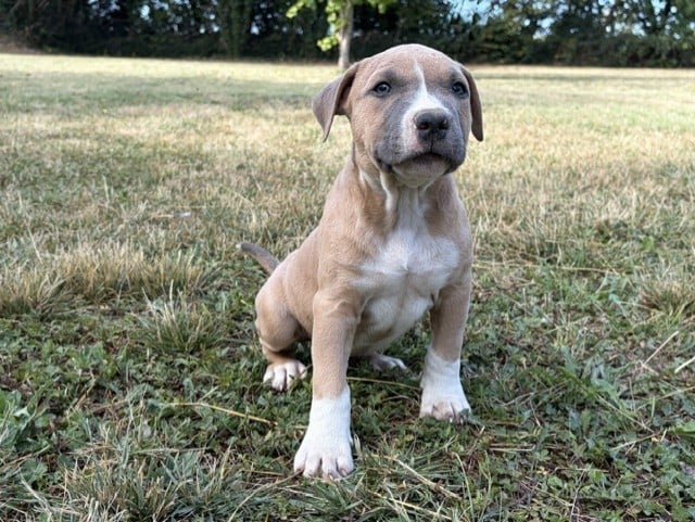 BAXTER