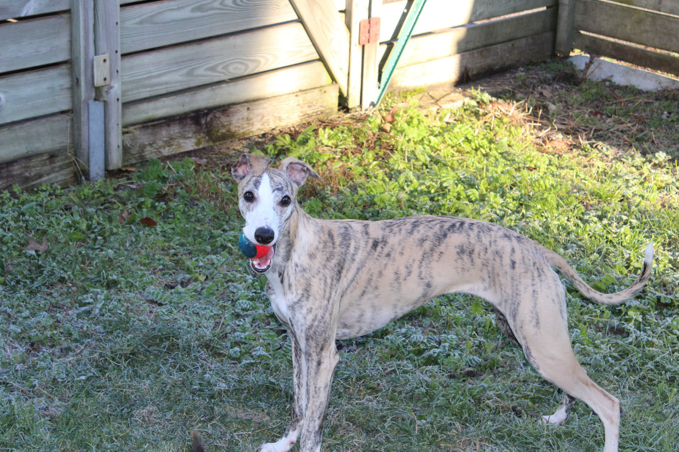 Univers asterope (Sans Affixe)