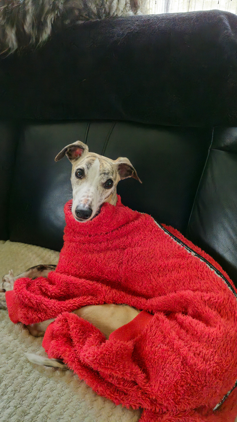 Univers asterope (Sans Affixe)