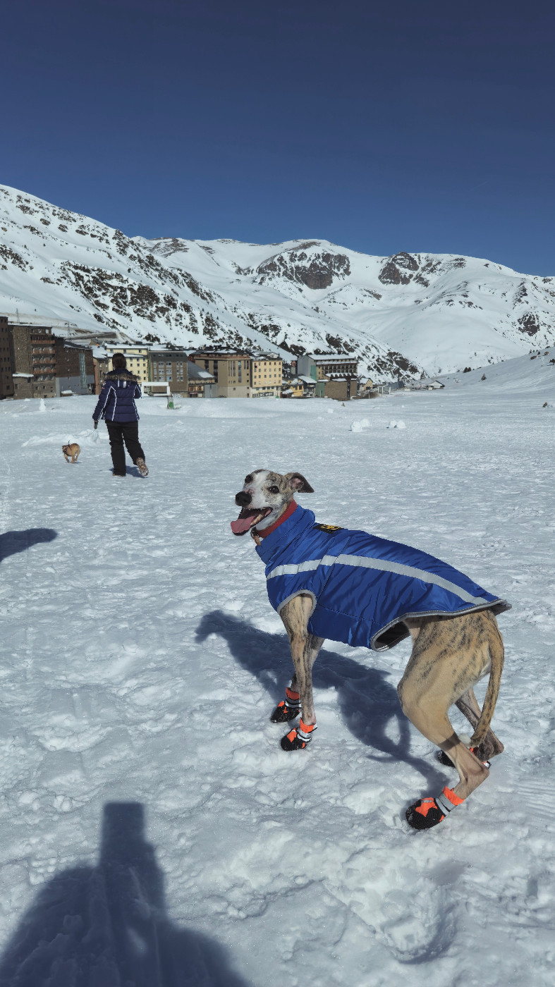 Univers asterope (Sans Affixe)