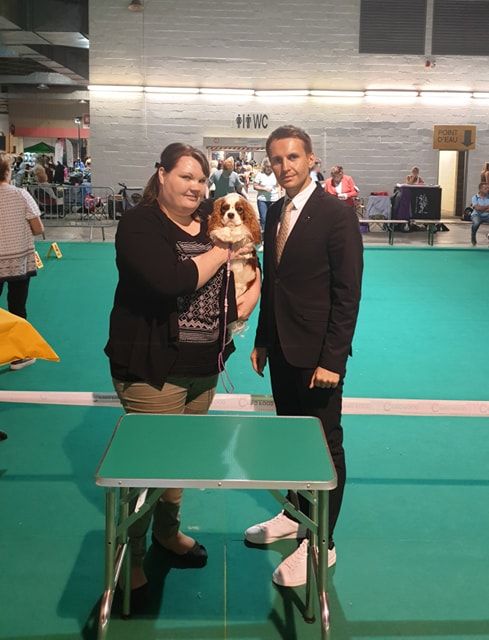 CH. Own my dream coleen de castel peyrac - 1er Excellent - Meilleur jeune - BOS