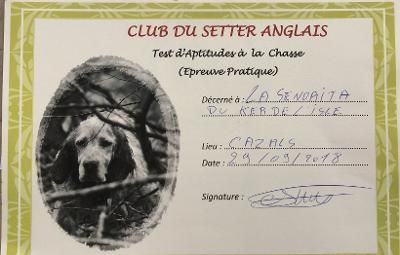 La senorita du ker de l'isle - TAC