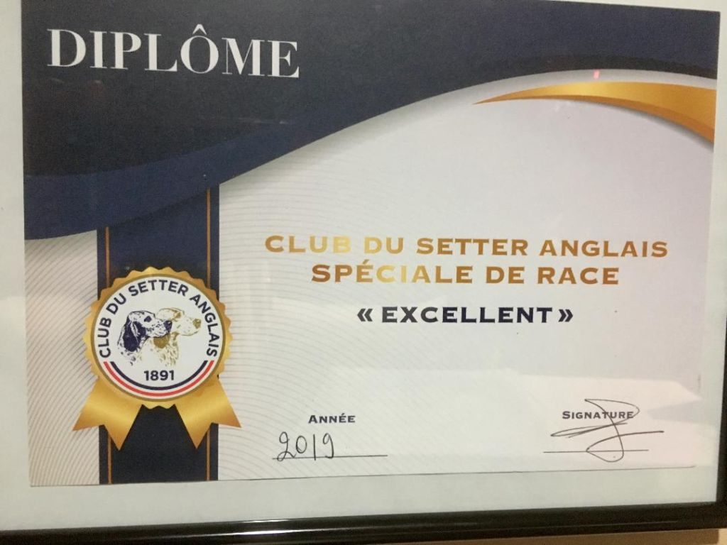 La senorita du ker de l'isle - EXCELLENT