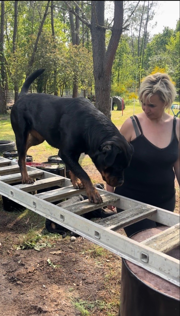 S'hippie Des Flammes De La Nuit