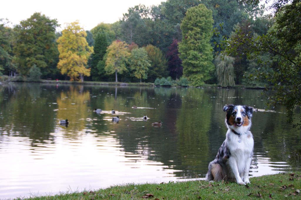 Fybie blue Valley Nasr