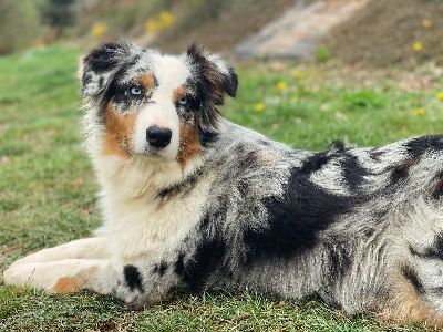 De La Tour Des Salelles