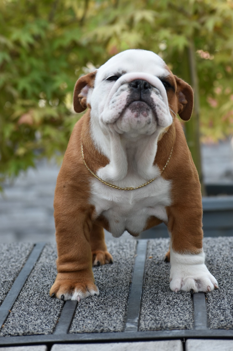 ARYA STARK de Théop's